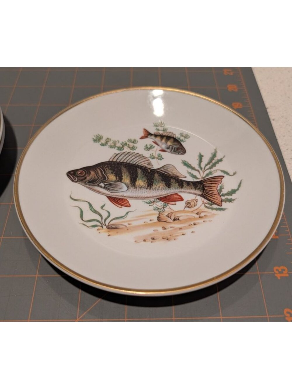 Vintage Naaman Israel Fish Platter 6 Plates Gold Trim Porcelain NAA2 Pike Fish - Picture 7 of 16